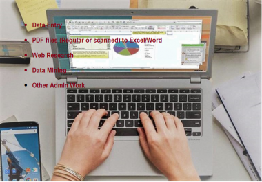 Excel data entry,  Web research,  copy past Tasks,  and Manually typing jobs