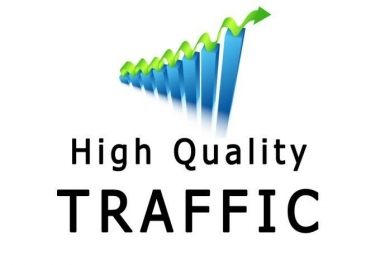 Get Targeted Traffic For 48 hours