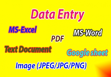 Data Entry,  Copy Paste,  Typing,  MS Excel,  MS Word,  Text Document,  Google sheet Etc
