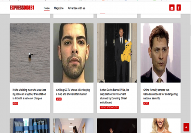 write and publish your article below site
