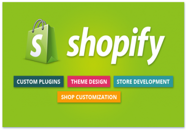 fix shopify errors in 24 hours