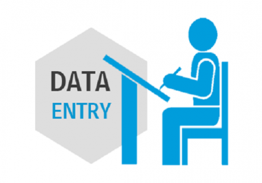 Provide Professional Data Entry Within 24 Hours