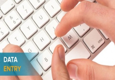 I can do any kind of data entry