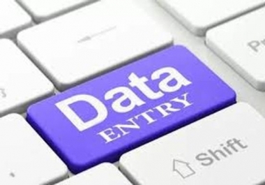 Data Entry,  copy paste and writing service