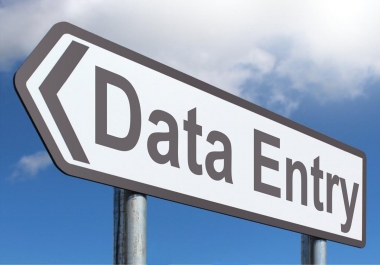 Data Entry Clerk,  Digital marketing,  Pdf conversions,  photo editing,  video editing.