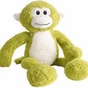gamma monkey