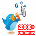 Give 20222+ Real Looking Twitter Followers in a fantastic way to improve the worth of your account